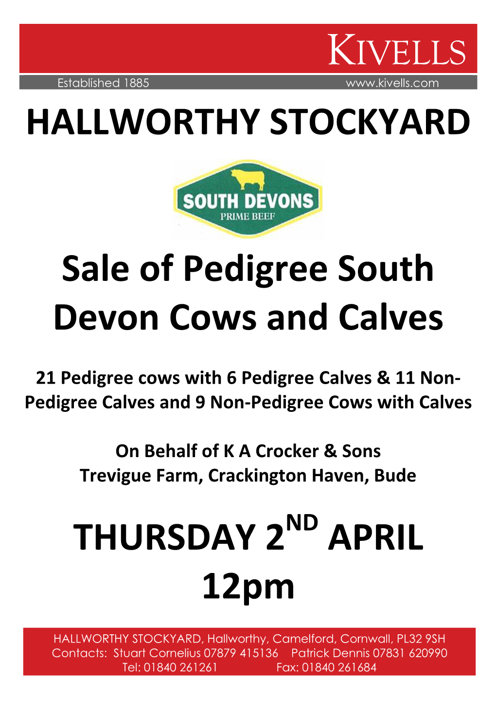 HALLWORTHY STOCKYARD Sale of Pedigree South Devon Cows And