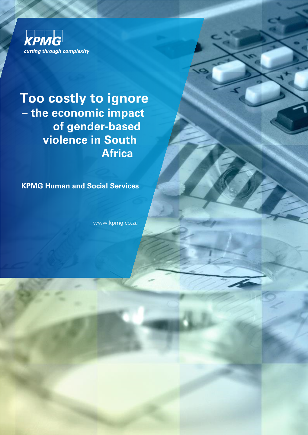 The Economic Impact of Gender-Based Violence in South Africa