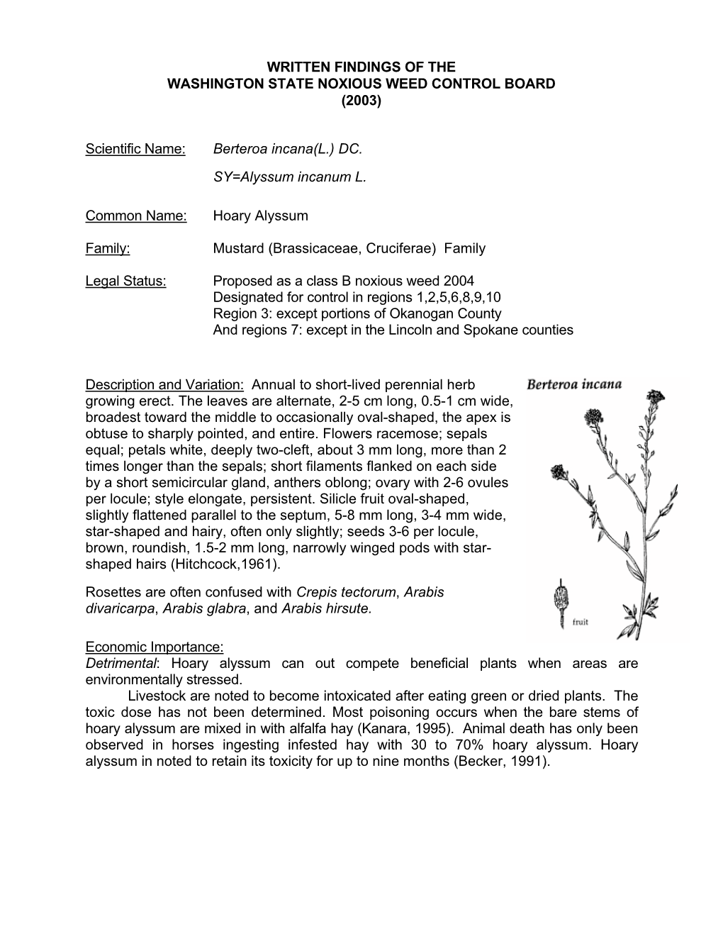 Hoary Alyssum Family: Mustard (Brassicacea