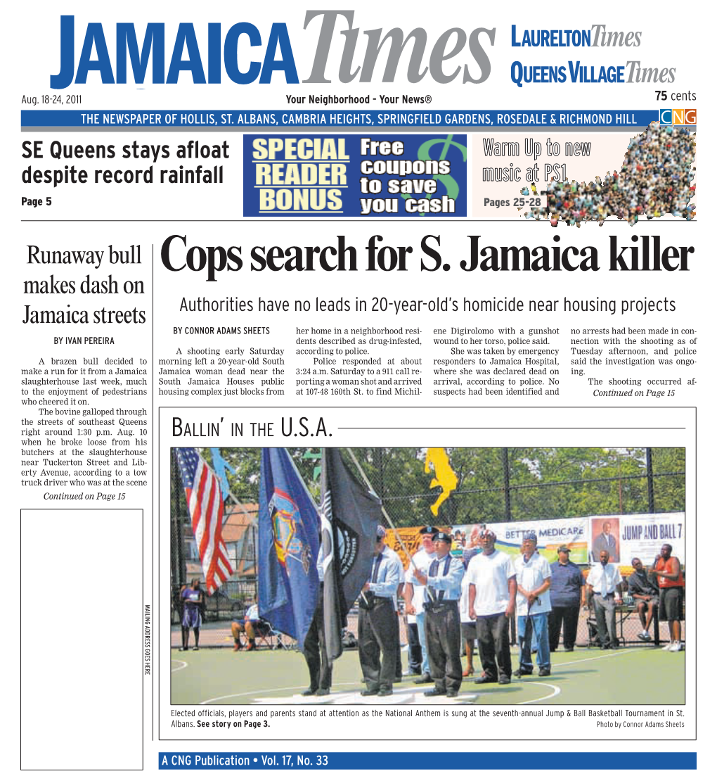 Cops Search for S. Jamaica Killer