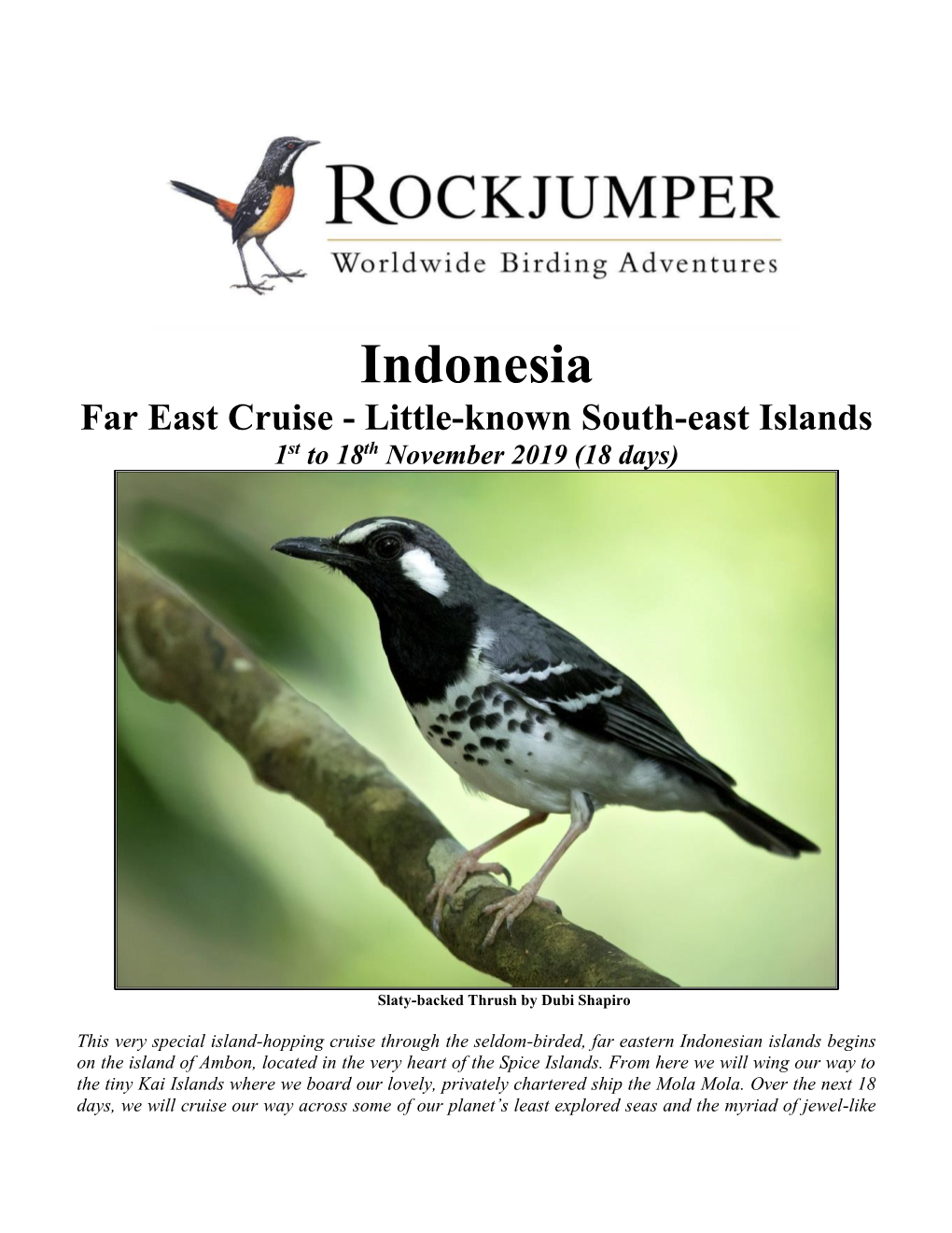 Indonesia Far East Cruise - Little-Known South-East Islands 1St to 18Th November 2019 (18 Days)