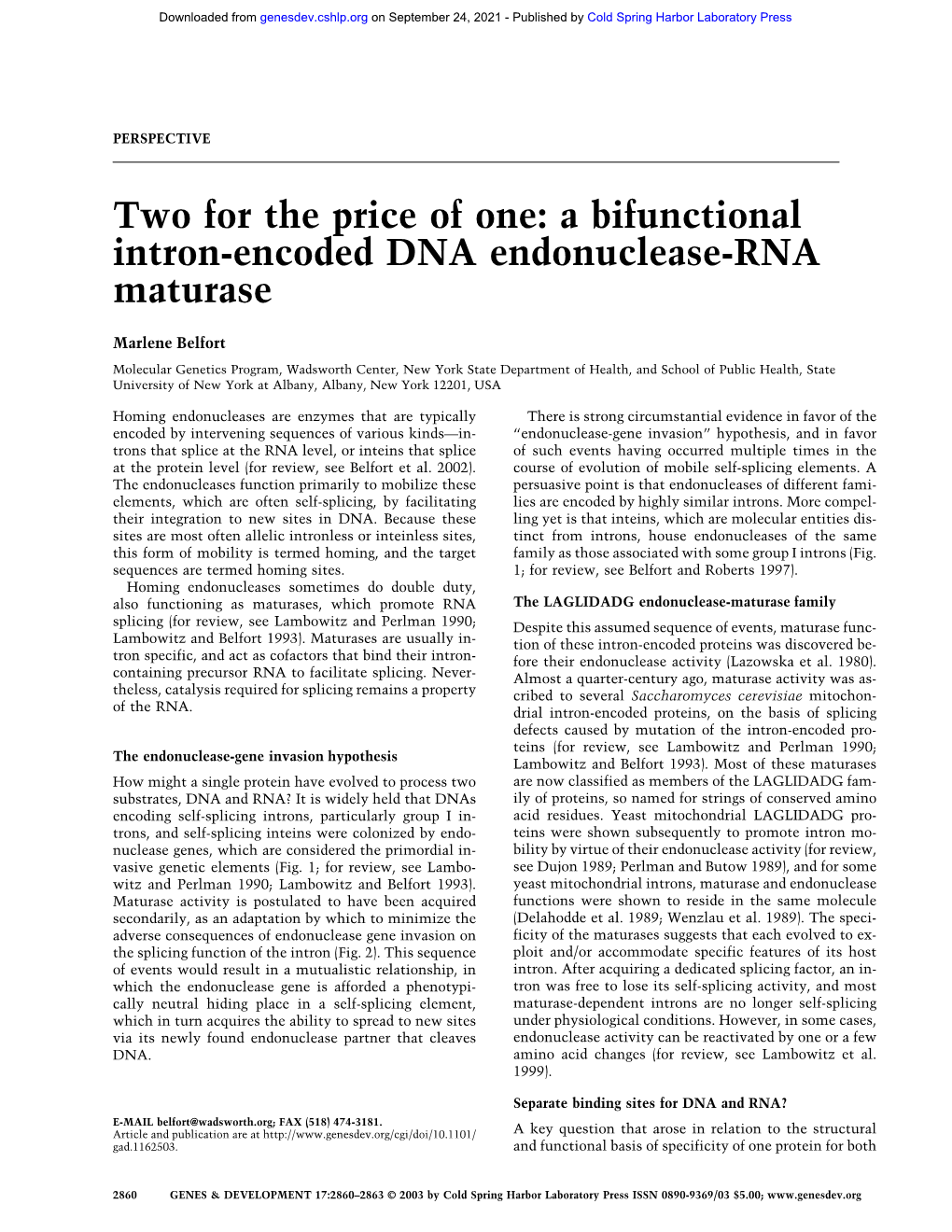 Two for the Price of One: a Bifunctional Intron-Encoded DNA Endonuclease-RNA Maturase