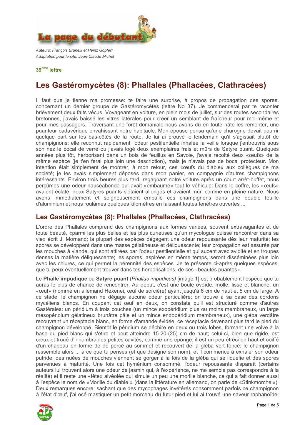 Les Gastéromycètes (8): Phallales (Phallacées, Clathracées)