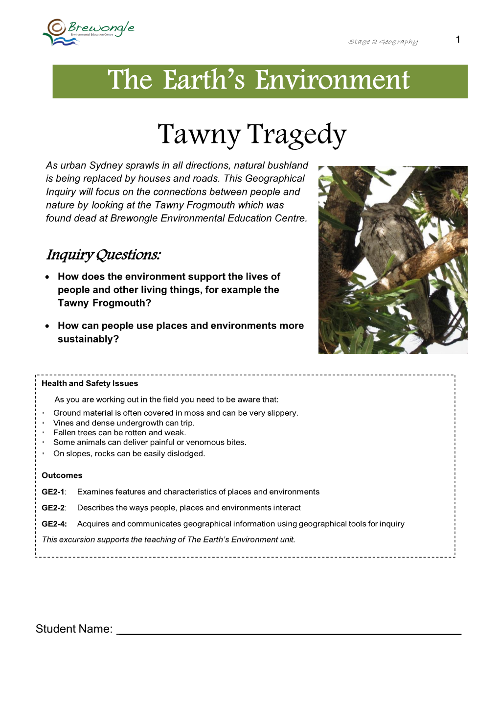 Tawny Tragedy