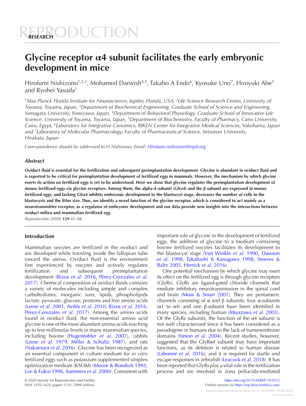 Glycine Receptor Α4 Subunit Facilitates the Early Embryonic Development in Mice