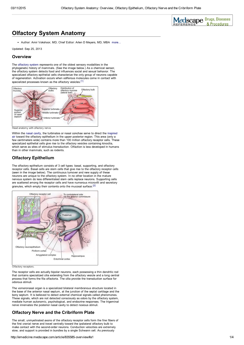 Olfactory System Anatomy: Overview, Olfactory Epithelium, Olfactory Nerve and the Cribriform Plate