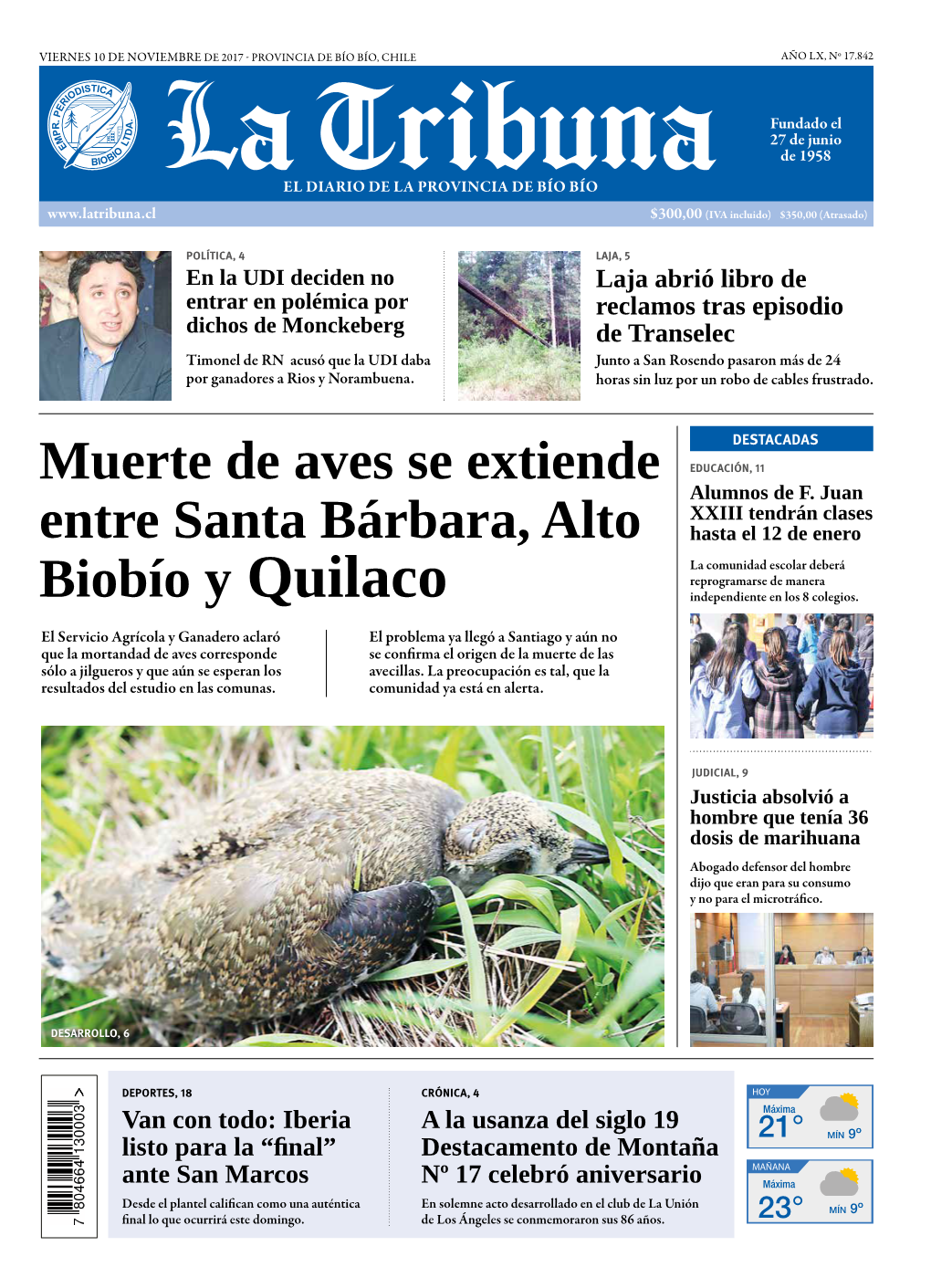 Muerte De Aves Se Extiende Entre Santa Bárbara, Alto Biobío Y Quilaco