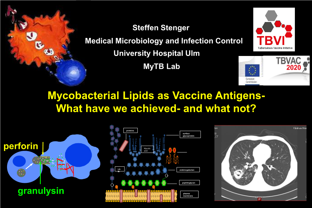 Steffen Stenger Medical Microbiology and Infection Control University Hospital Ulm Mytb Lab