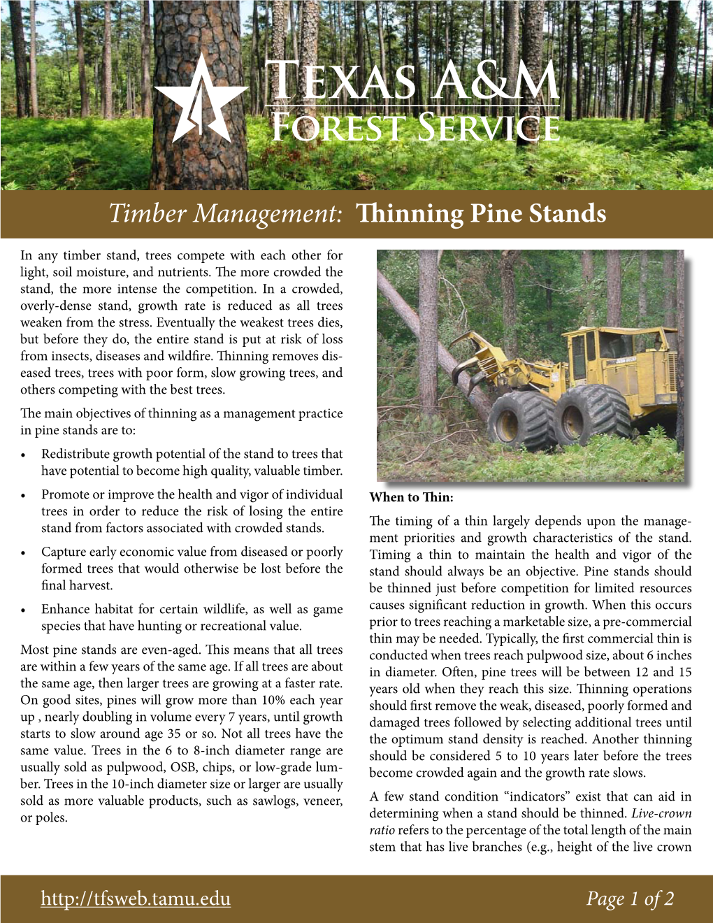 Timber Management: Thinning Pine Stands