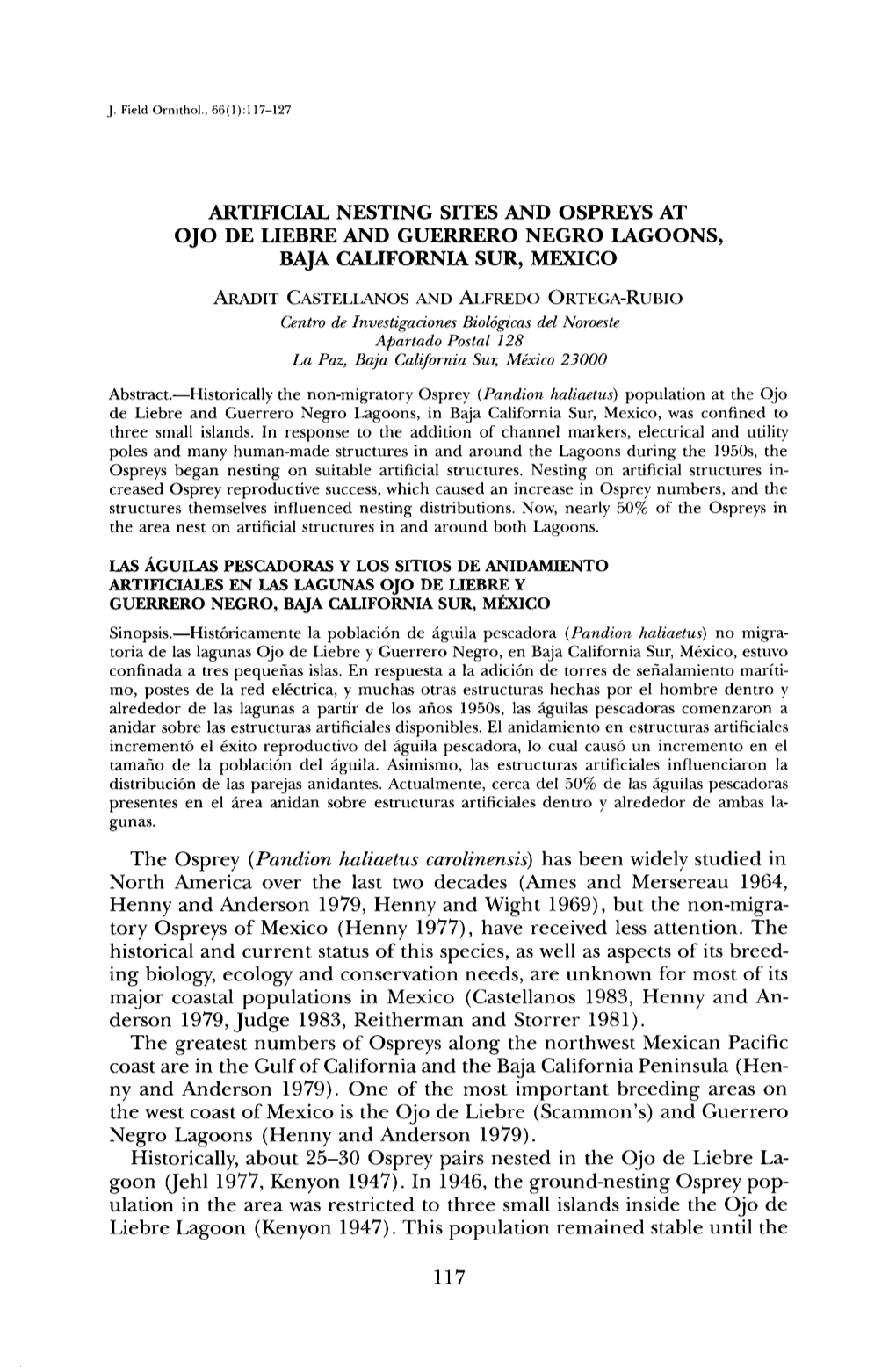 Artificial Nesting Sites and Ospreys at Ojo De Liebre and Guerrero Negro Lagoons, Baja California Sur, Mexico