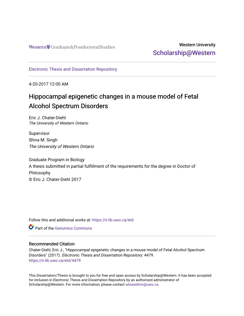 Hippocampal Epigenetic Changes in a Mouse Model of Fetal Alcohol Spectrum Disorders