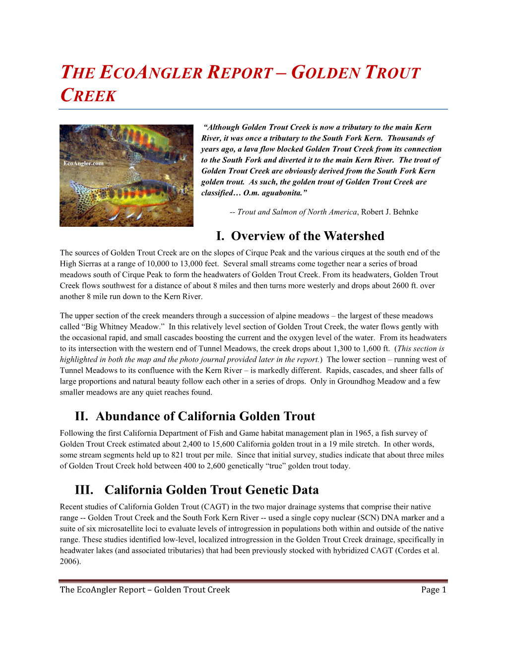 The Ecoangler Report – Golden Trout Creek