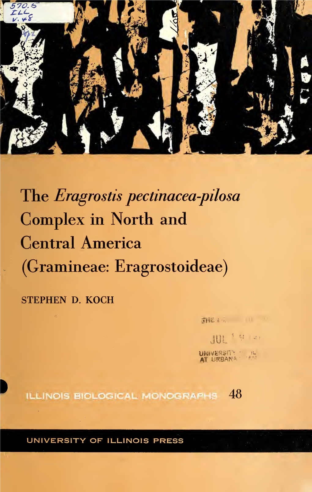 The Eragrostis Pectinacea-Pilosa Complex in North and Central America (Gramineae: Eragrostoideae)