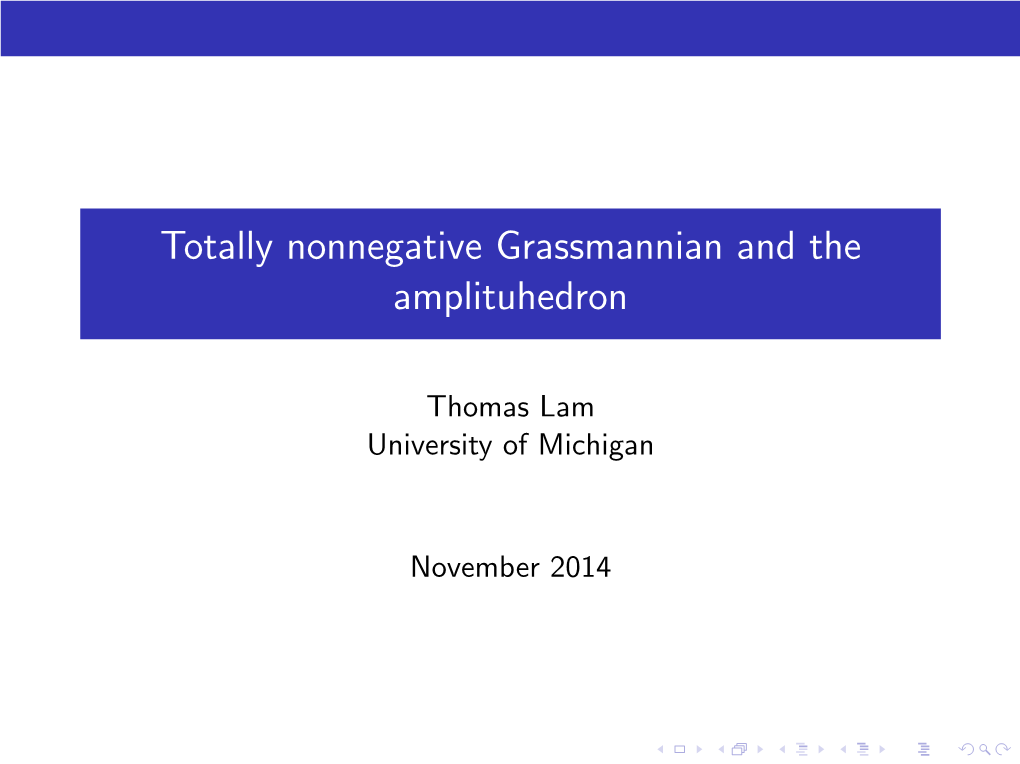Totally Nonnegative Grassmannian and the Amplituhedron, CDM