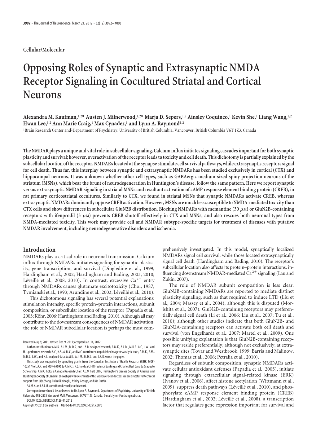 Opposing Roles of Synaptic and Extrasynaptic NMDA Receptor Signaling in Cocultured Striatal and Cortical Neurons