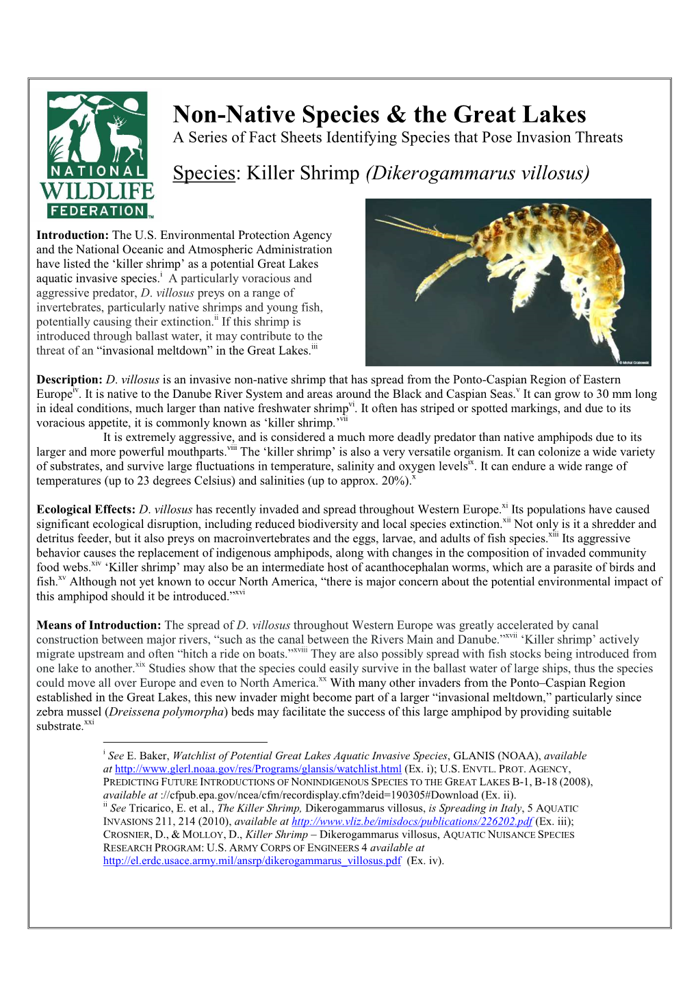 2012-05-26 Killer Shrimp Fact Sheet