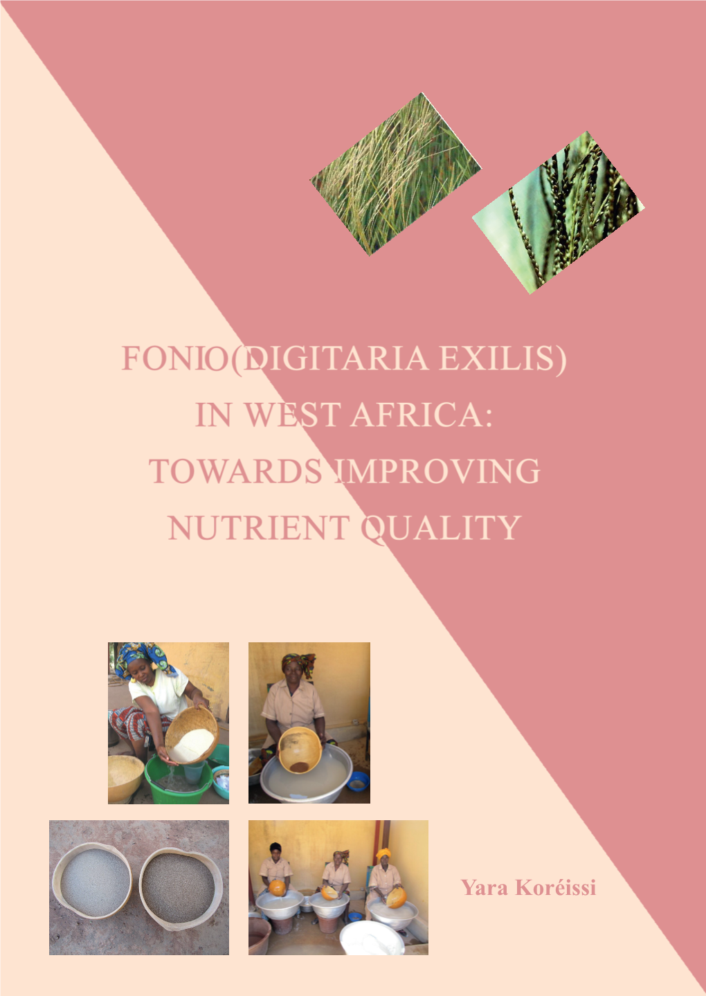 Fonio (Digitaria Exilis) in West Africa: Towards Improving Nutrient Quality