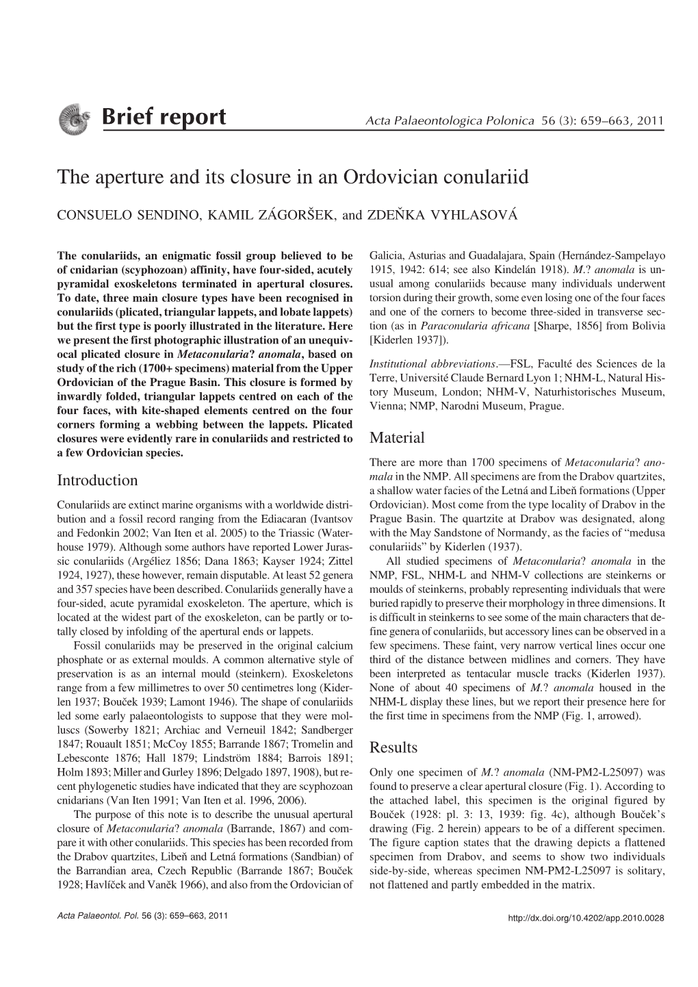 The Aperture and Its Closure in an Ordovician Conulariid