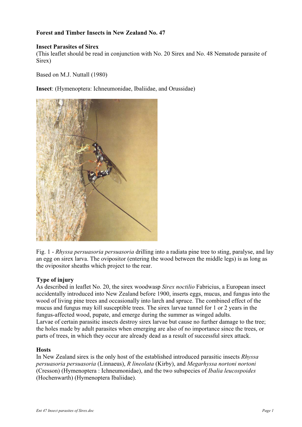 Forest and Timber Insects in New Zealand No. 47 Insect Parasites of Sirex