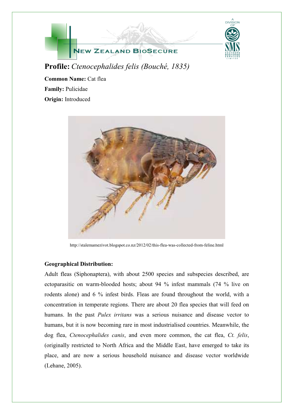 Profile: Ctenocephalides Felis (Bouché, 1835) Common Name: Cat Flea Family: Pulicidae Origin: Introduced