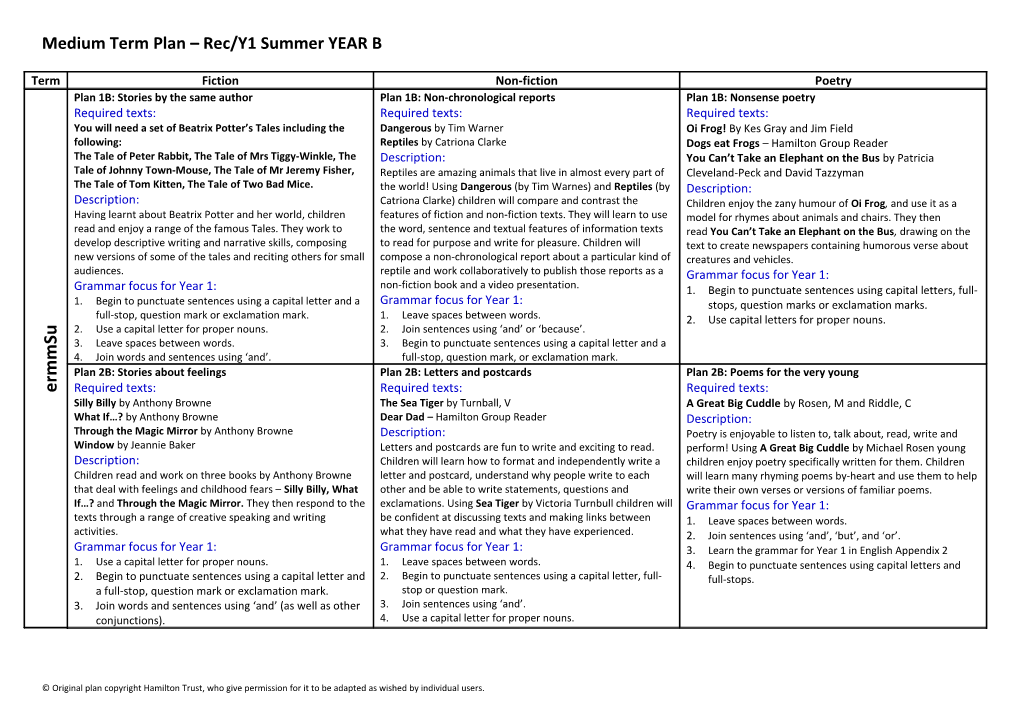 Medium Term Plan Rec/Y1 Summer YEAR B
