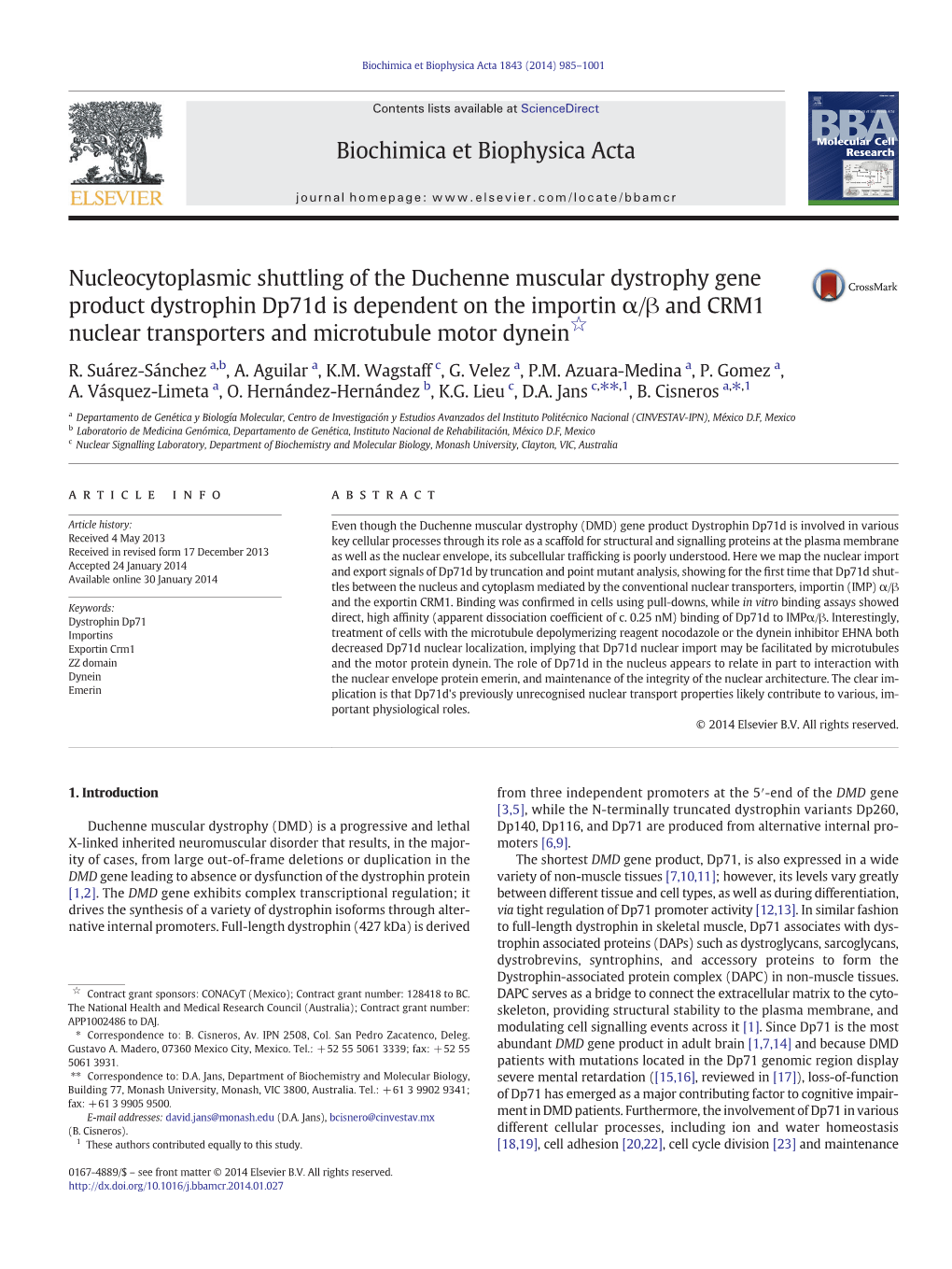 Nucleocytoplasmic Shuttling of the Duchenne Muscular Dystrophy