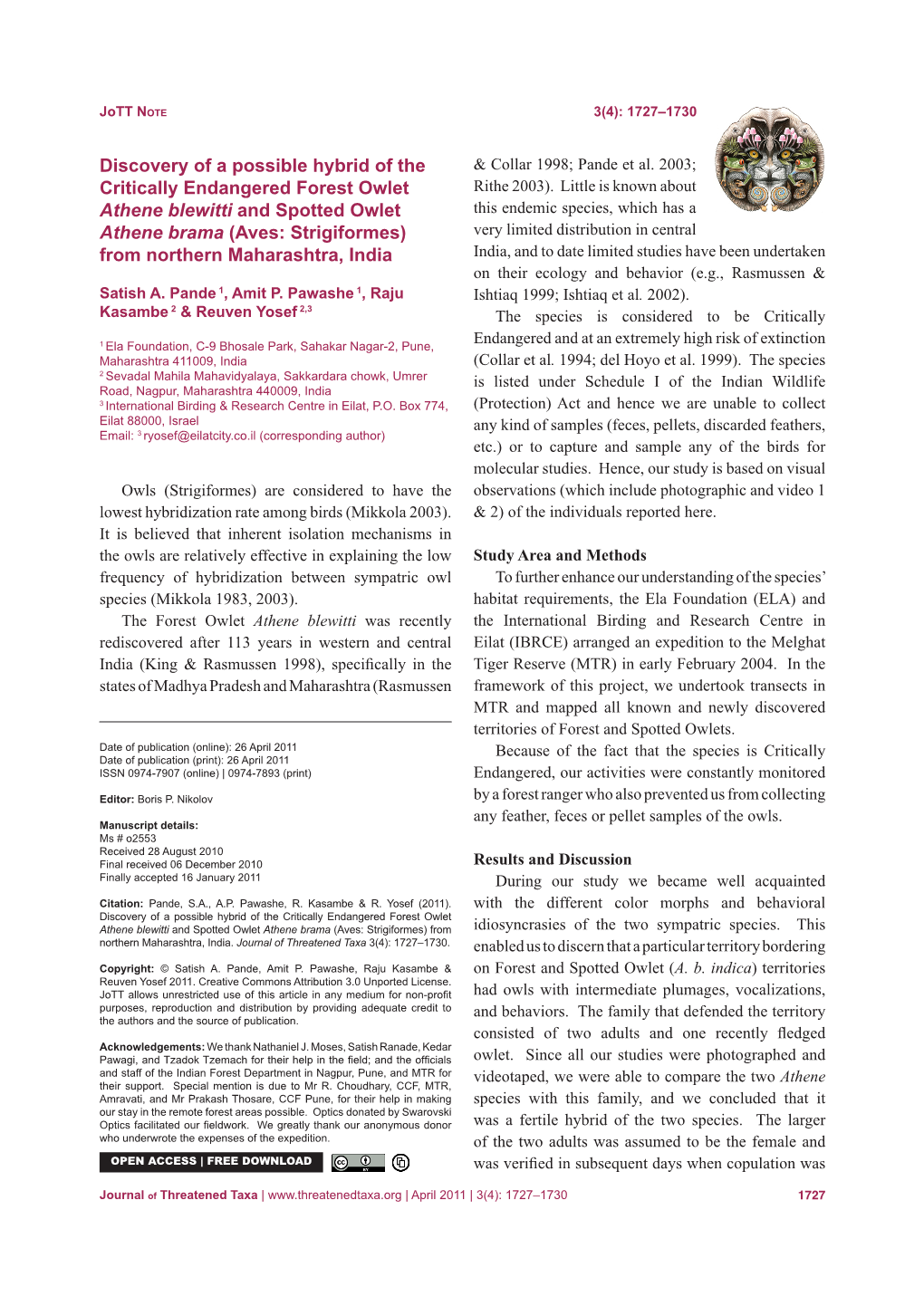 Discovery of a Possible Hybrid of the Critically Endangered Forest Owlet Athene Blewitti and Spotted Owlet Athene Brama (Aves: Strigiformes) from Northern Maharashtra, India