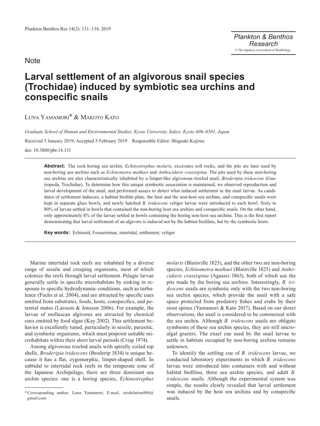 Larval Settlement of an Algivorous Snail Species (Trochidae) Induced by Symbiotic Sea Urchins and Conspecific Snails