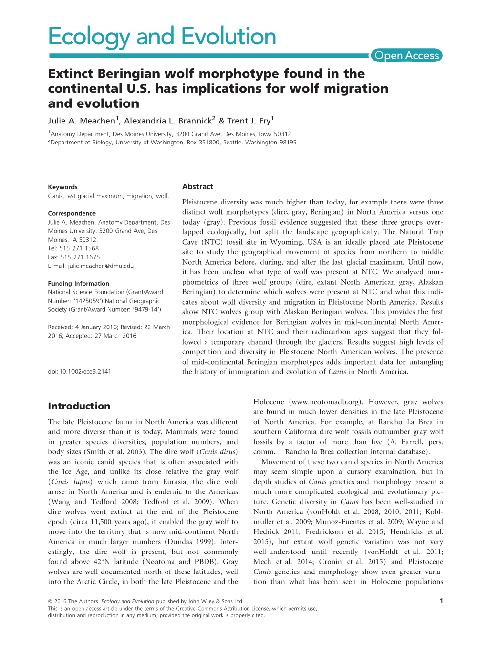 Extinct Beringian Wolf Morphotype Found in the Continental U.S. Has Implications for Wolf Migration and Evolution Julie A