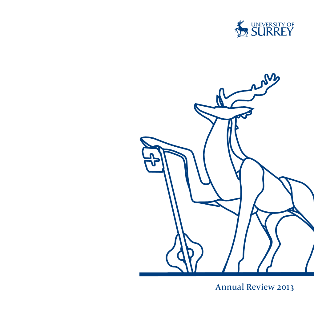 University of Surrey Annual Review 2013