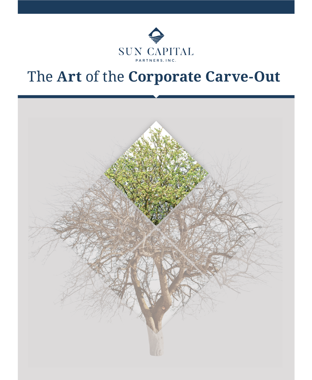 The Art of the Corporate Carve-Out Key Insights from Sun Capital’S Experience in Carve-Out Investments