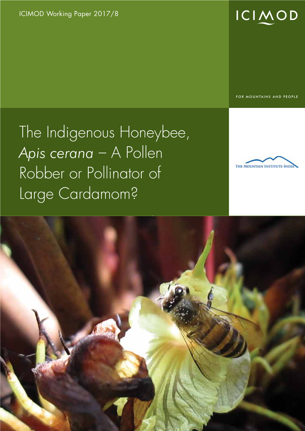 The Indigenous Honeybee, Apis Cerana – a Pollen Robber Or Pollinator of Large Cardamom?