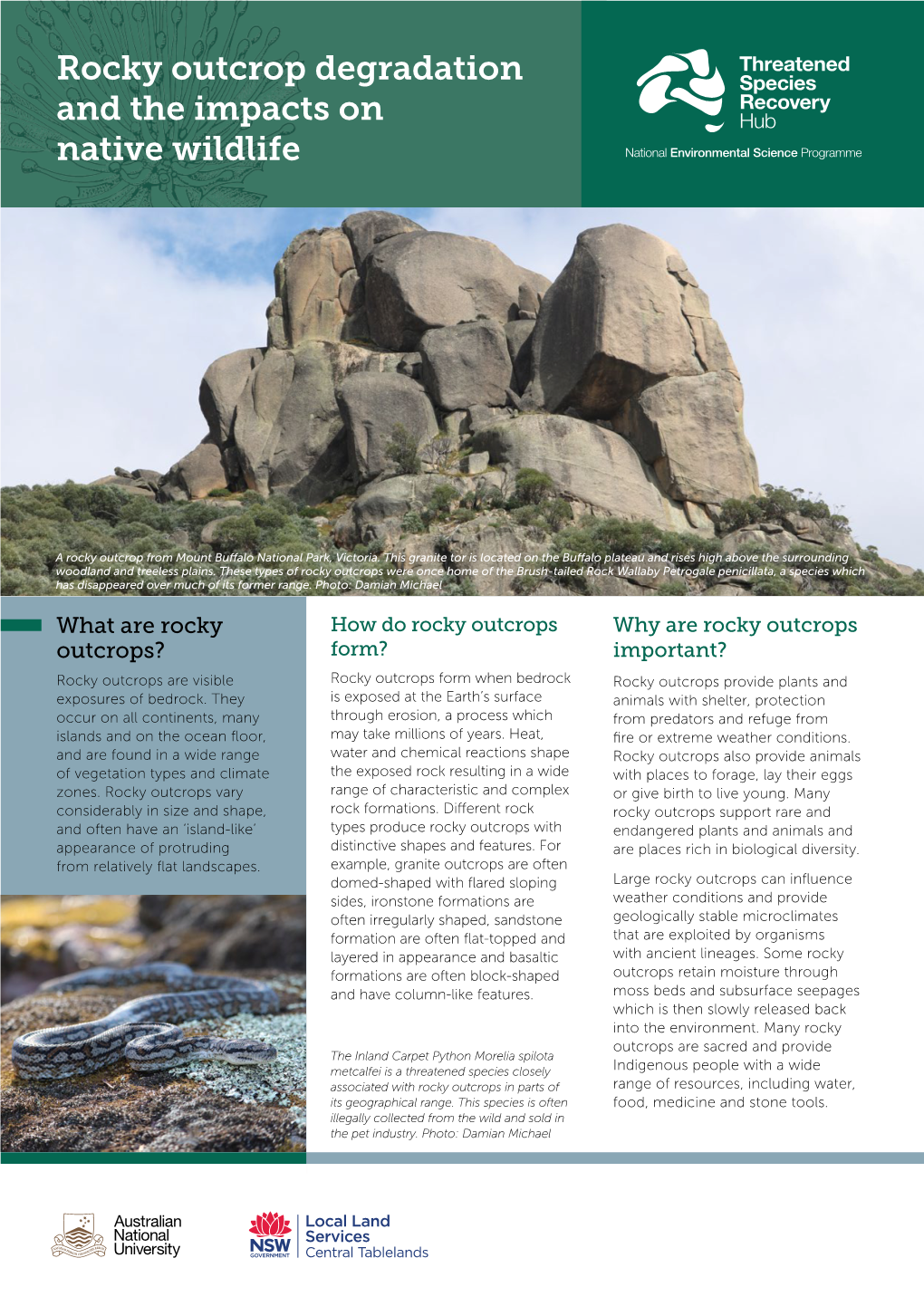 Rocky Outcrop Degradation and the Impacts on Native Wildlife