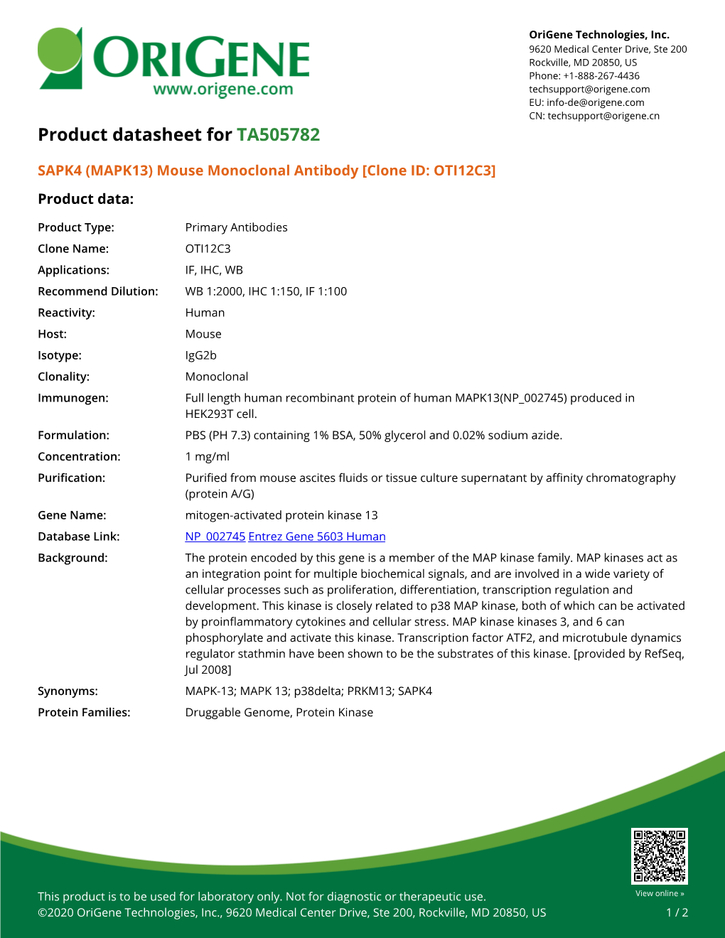 SAPK4 (MAPK13) Mouse Monoclonal Antibody [Clone ID: OTI12C3] Product Data