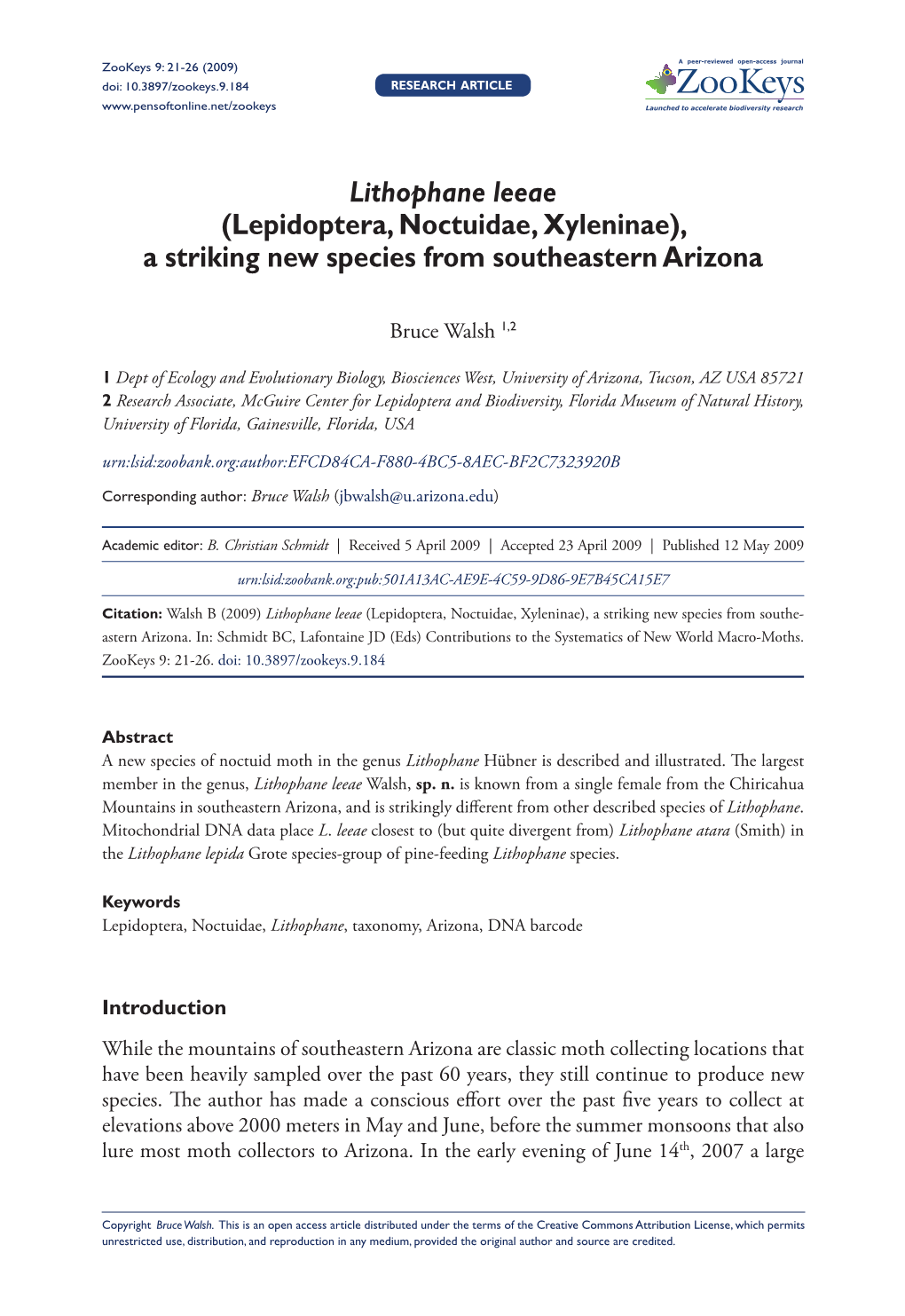 Lithophane Leeae (Lepidoptera, Noctuidae, Xyleninae), a Striking New Species from Southeastern Arizona