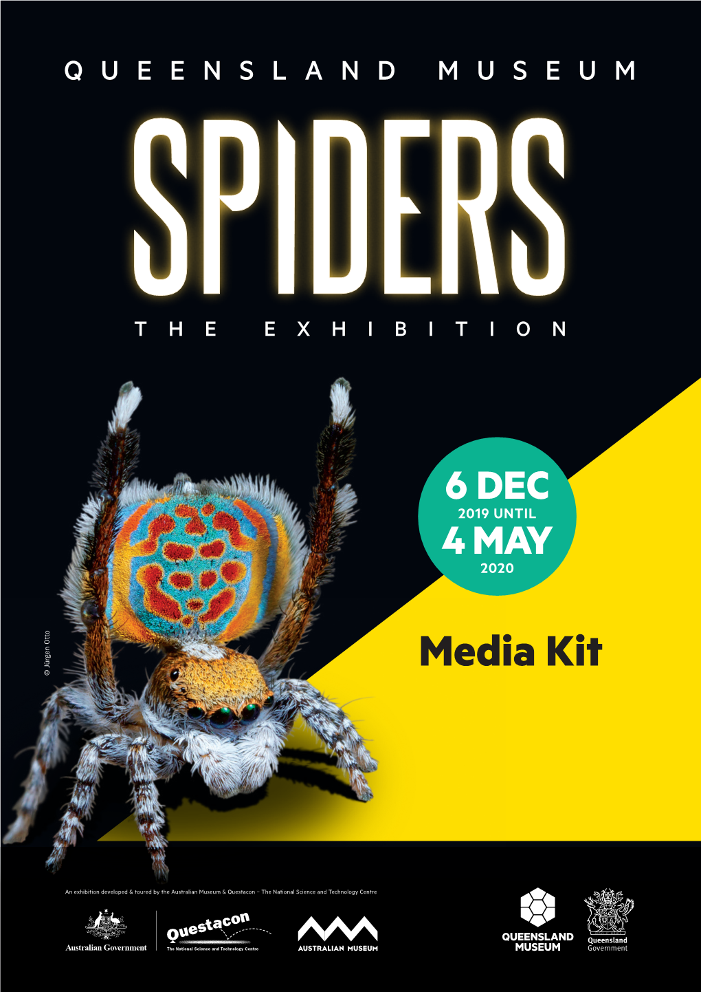 Spiders - the Exhibition