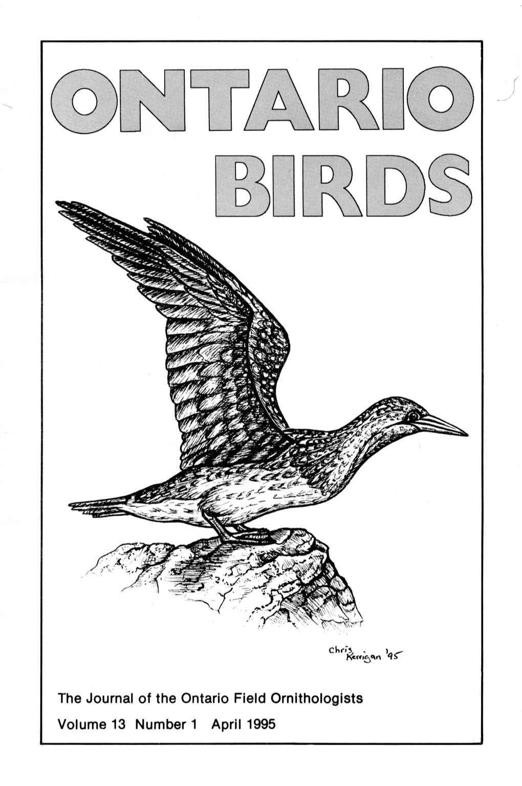 The Journal of the Ontario Field Ornithologists Volume 13 Number 1 April 1995 Ontario Field Ornithologists