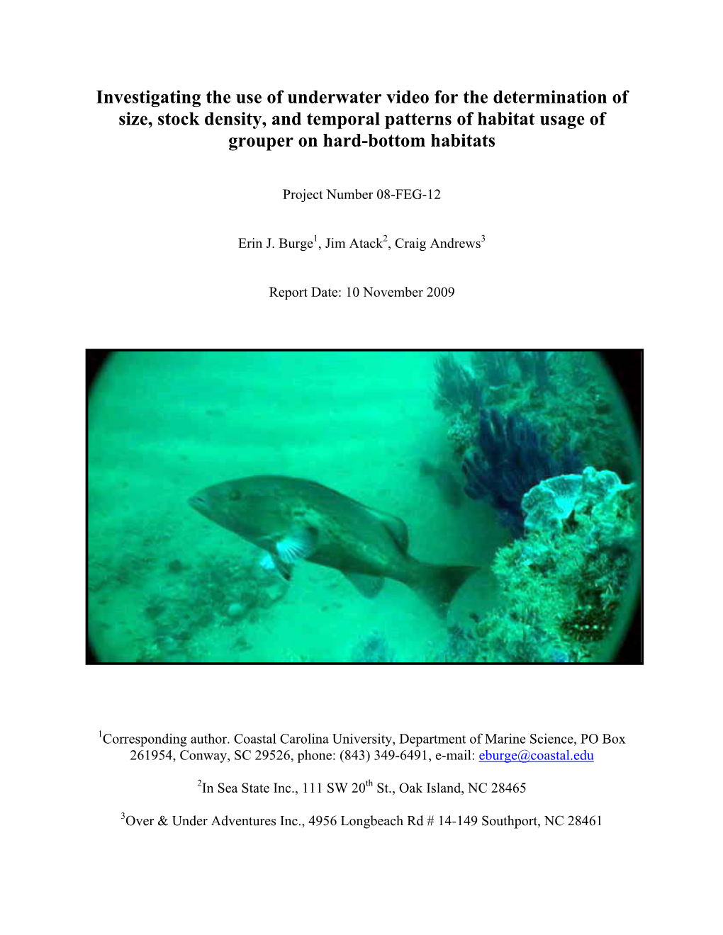Investigating the Use of Underwater Video for the Determination of Size, Stock Density, and Temporal Patterns of Habitat Usage of Grouper on Hard-Bottom Habitats