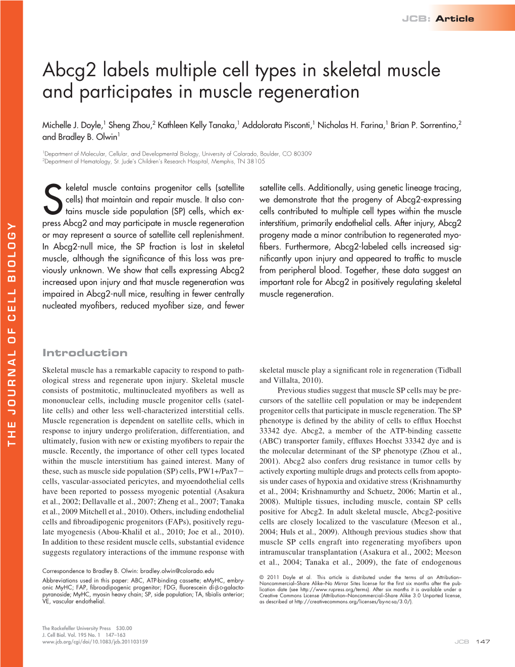 Abcg2 Labels Multiple Cell Types in Skeletal Muscle and Participates in Muscle Regeneration