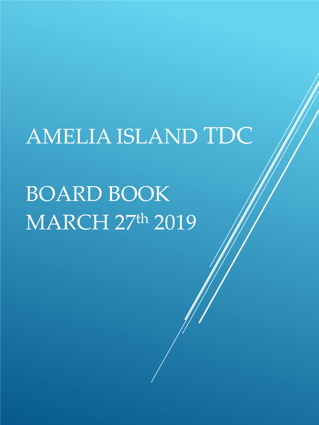 AMELIA ISLAND TDC BOARD BOOK MARCH 27Th 2019