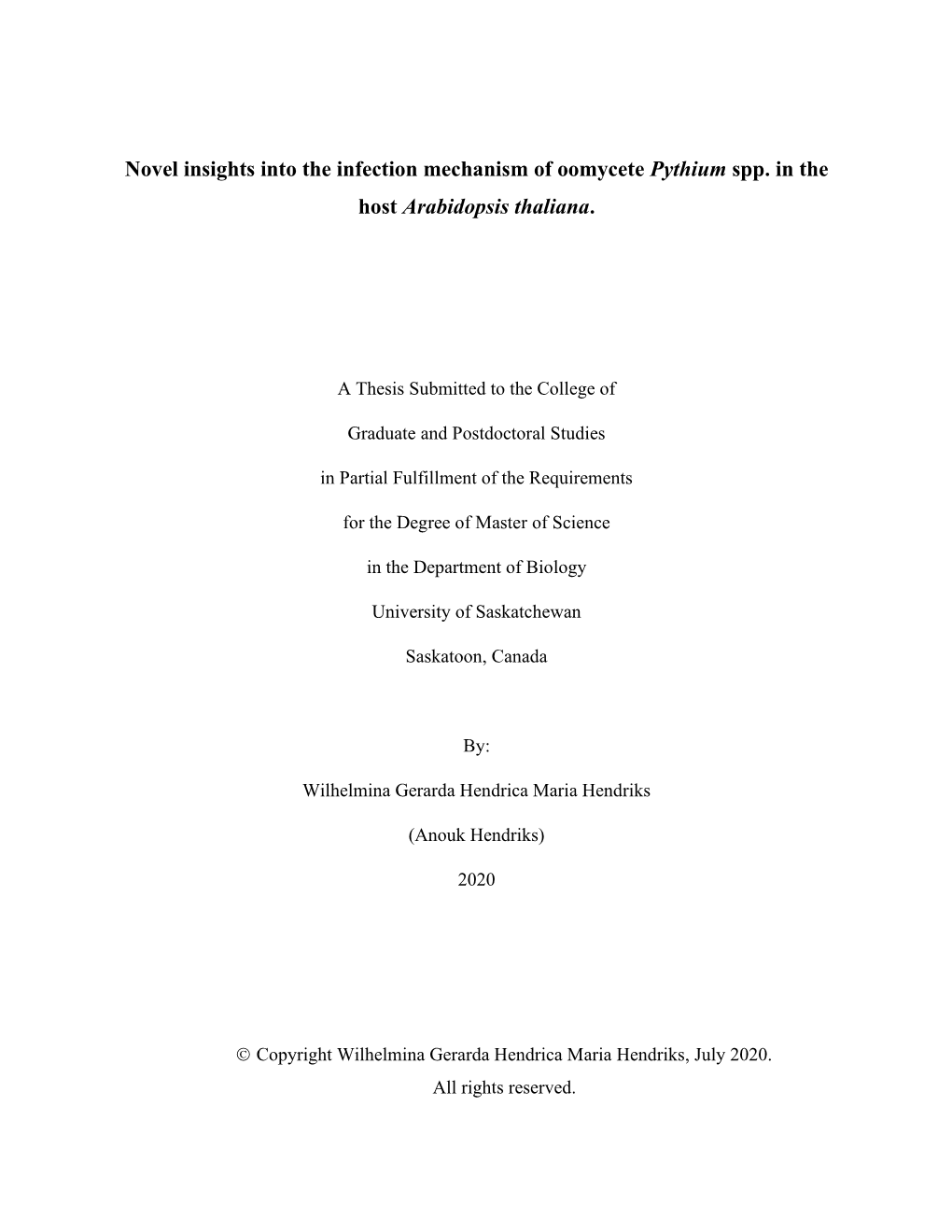 HENDRIKS-THESIS-2020.Pdf