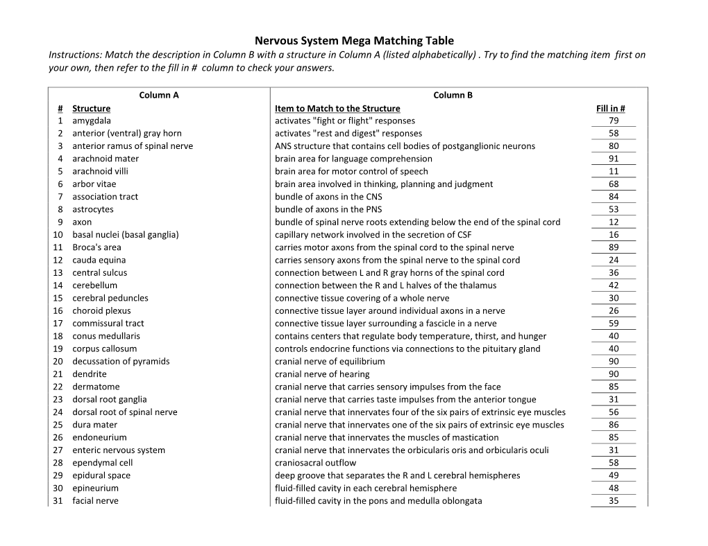 Nervous System Mega Matching Table Instructions: Match the Description in Column B with a Structure in Column a (Listed Alphabetically)