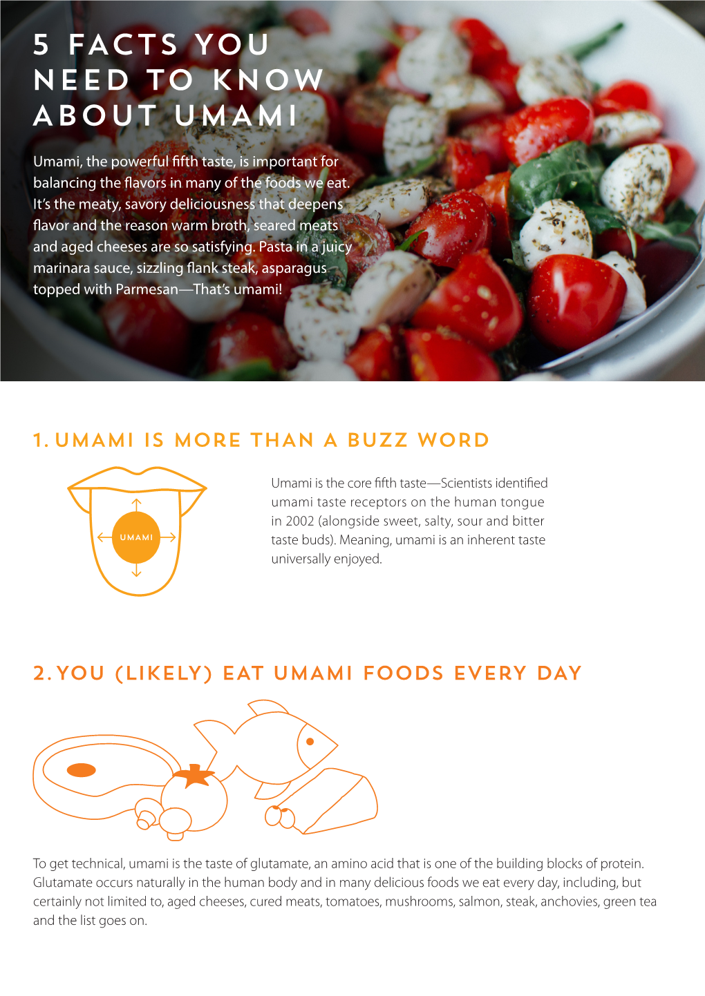 5 Facts You Need to Know About Umami Read More