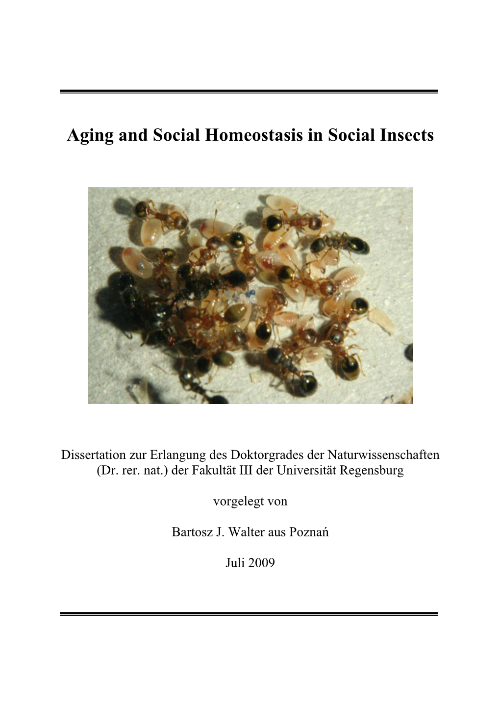 Aging and Social Homeostasis in Social Insects
