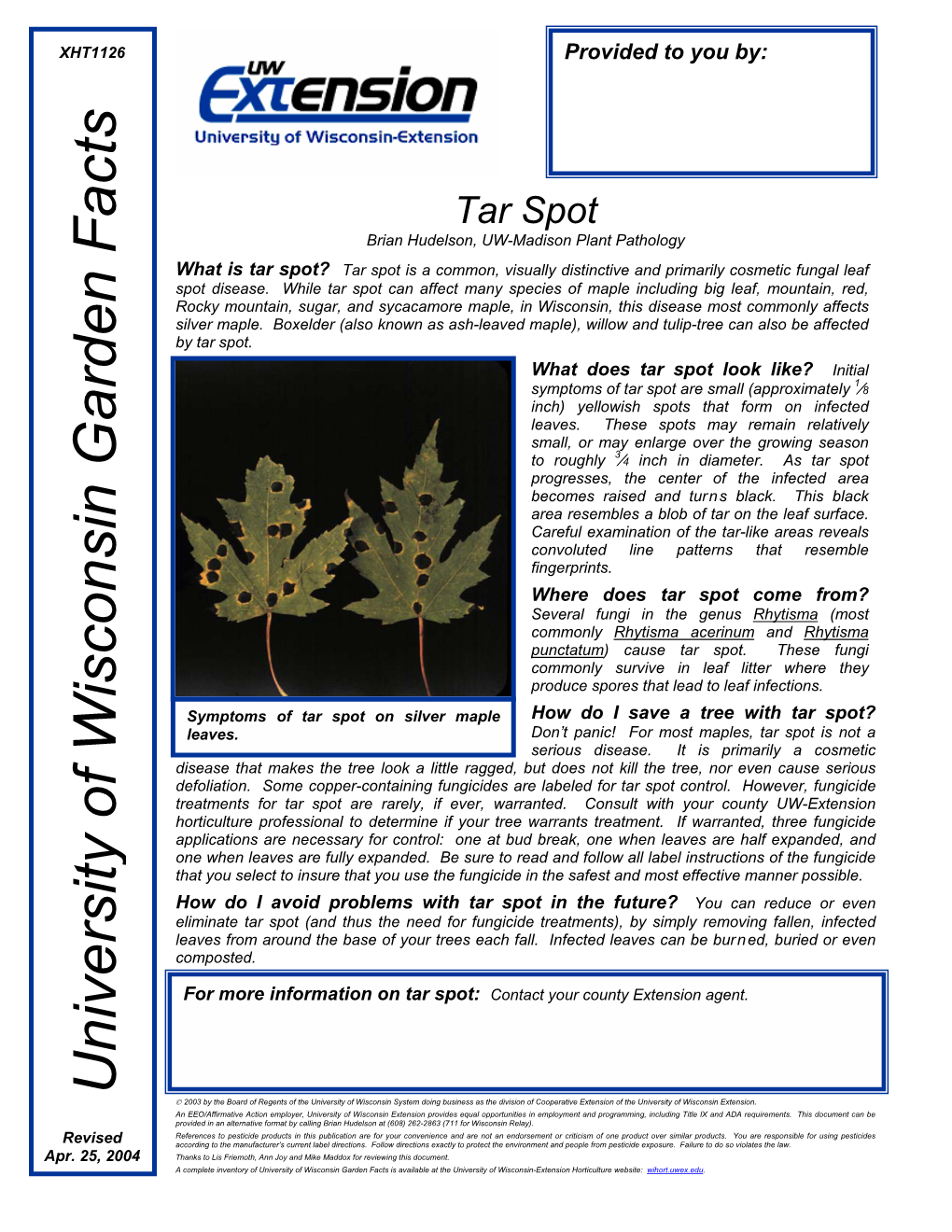 Tar Spot (PDF)
