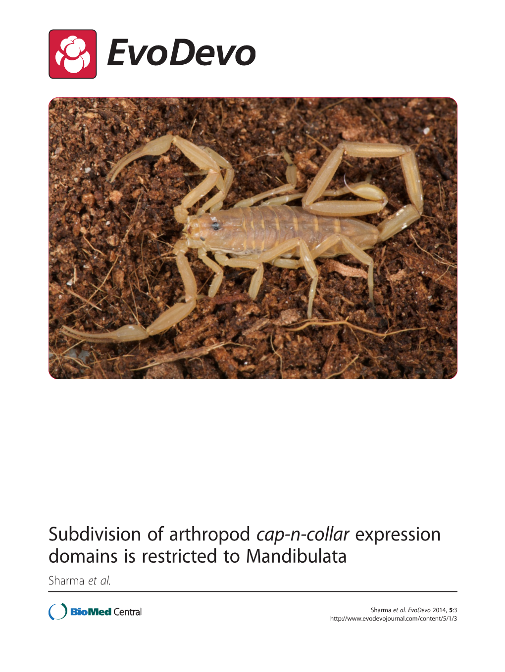 Subdivision of Arthropod Cap-N-Collar Expression Domains Is Restricted to Mandibulata Sharma Et Al