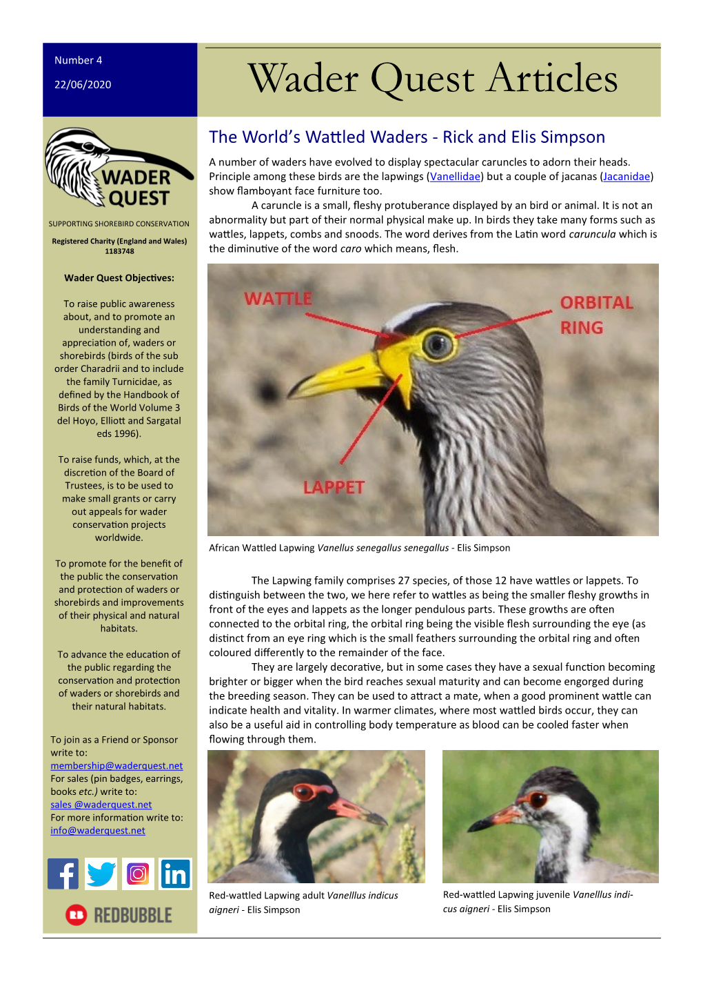 The World's Wattled Waders