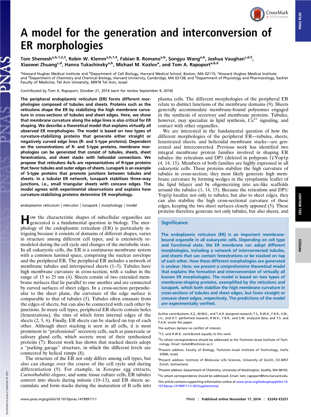 A Model for the Generation and Interconversion of ER Morphologies