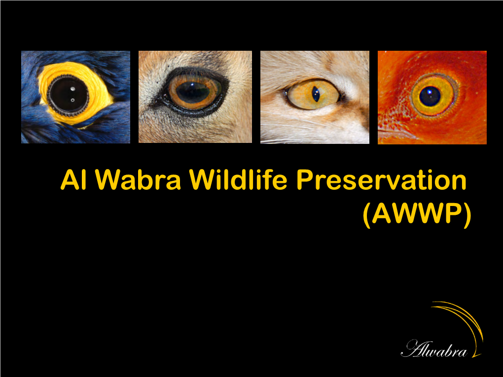 Al Wabra Wildlife Preservation (AWWP)
