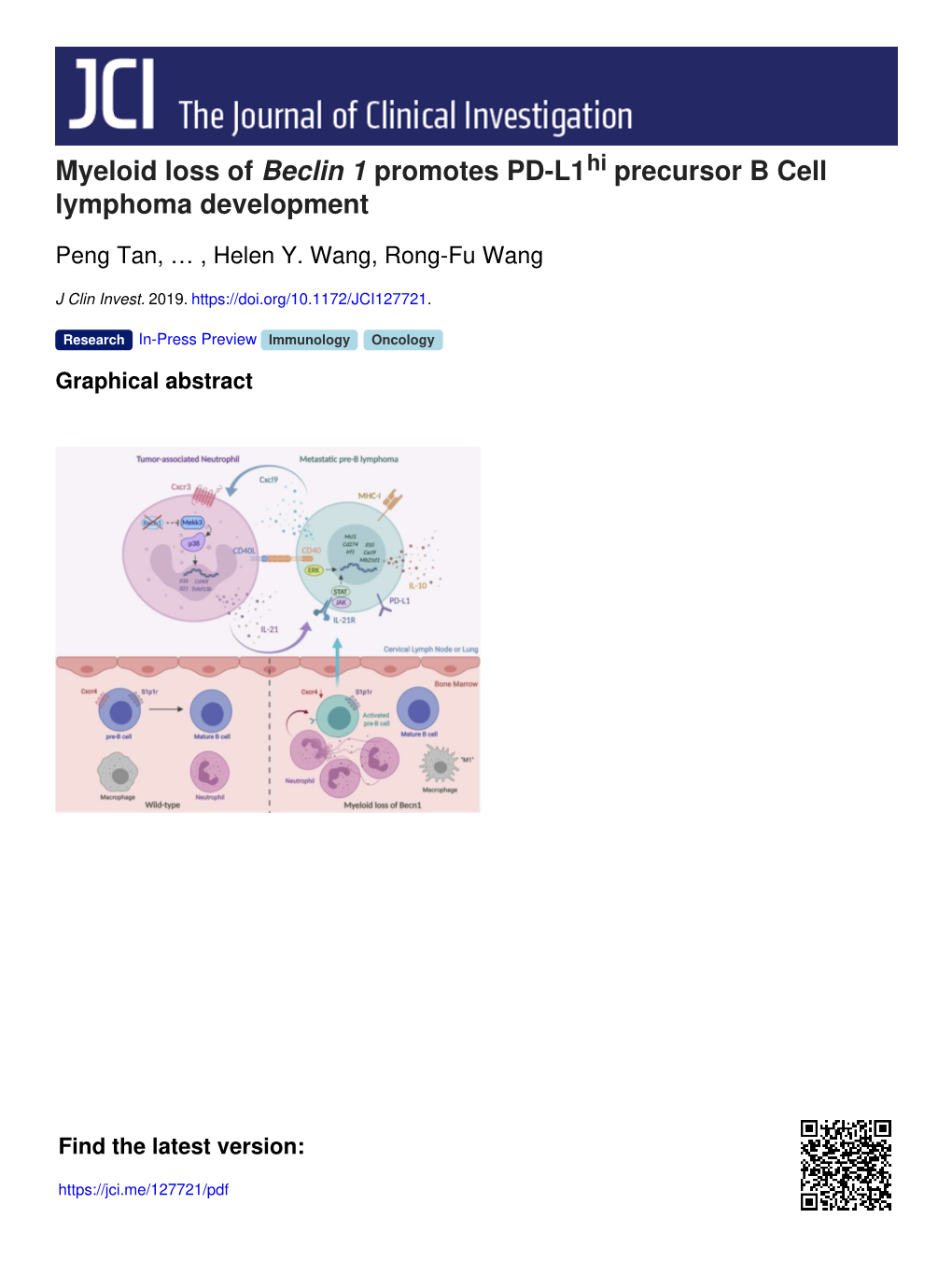 Myeloid Loss of Beclin 1 Promotes PD-L1 Precursor B Cell Lymphoma
